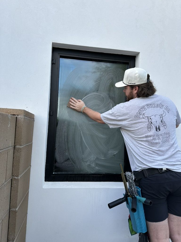 Tyler scrubbing a window before squeegeeing
